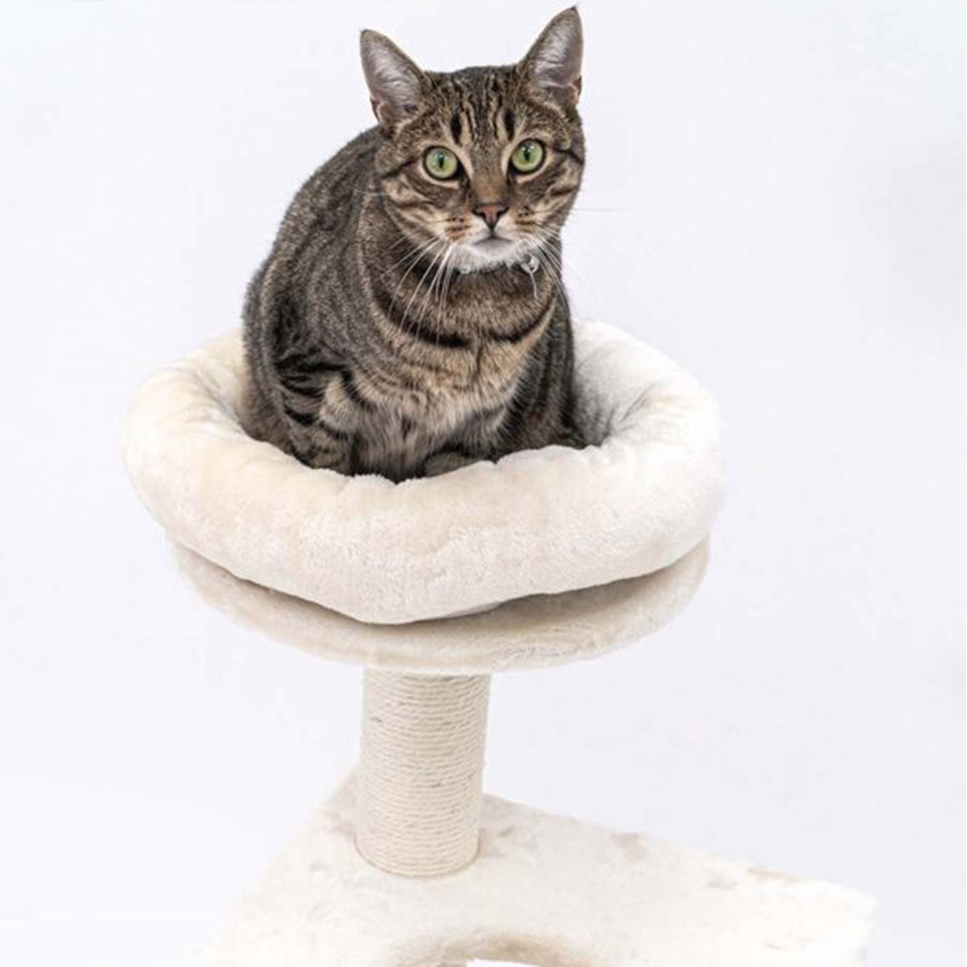 Little Rebels Seattle 89cm Cat Tree with Scratching Posts & Perches - Premium Cat Climbing Tower for Indoor Cats - Perfect for Small Spaces & Playtime