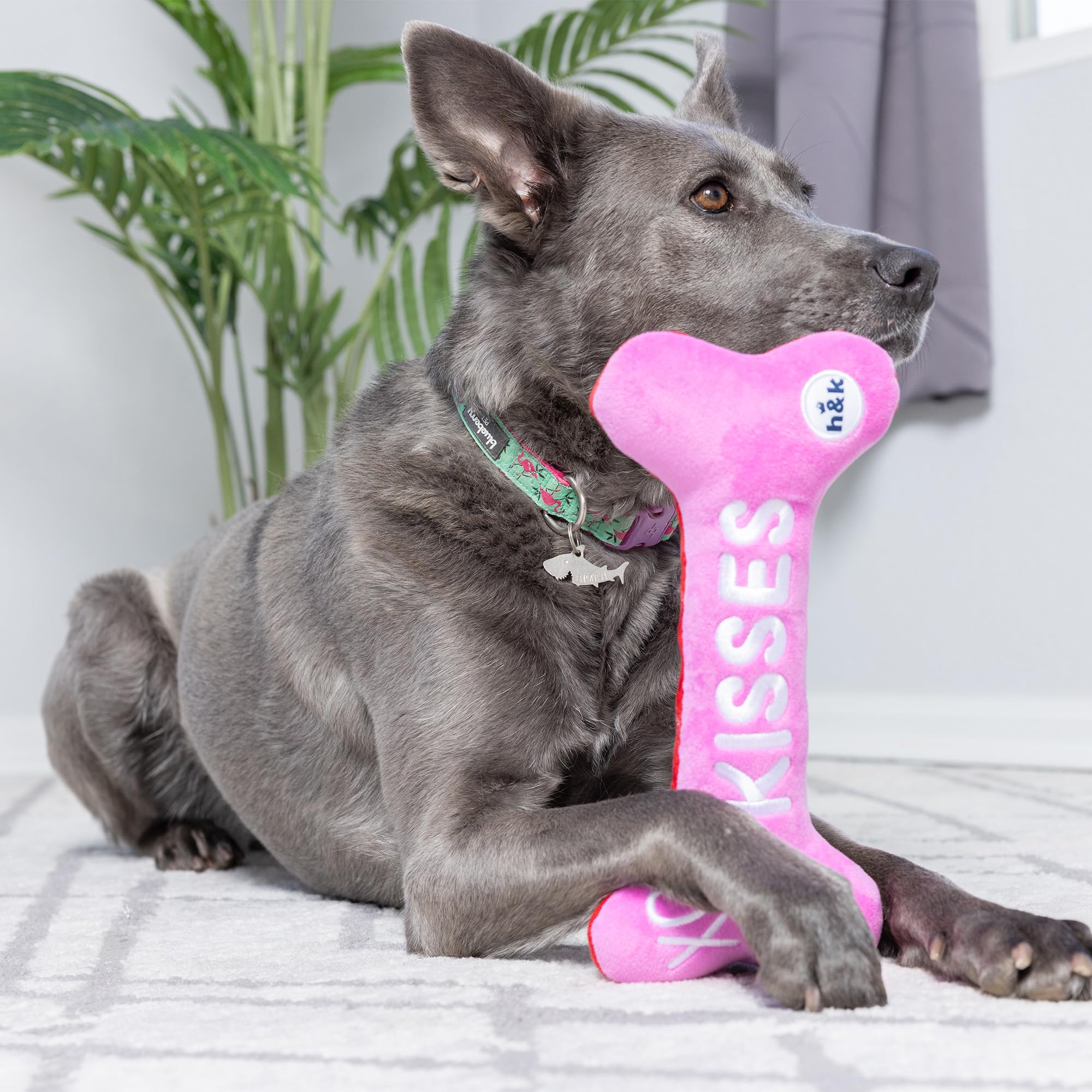 Huxley & Kent Squeaky Dog Toy - Hugs & Kisses Bone 2.0 Plush Chew Toy for Small Dogs with Fun Squeaker - Valentine's Day Gift for Dogs - Durable & Soft Power Plush - Perfect for Playtime, Training & Cuddling