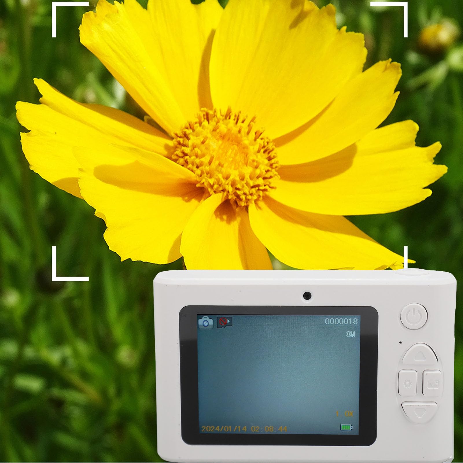 1080P HD Digital Camera with 16X Zoom & Autofocus - 2.4 Inch TFT Screen Portable Pocket Camera for Vlogging, Travel, Kids (White) | Perfect for YouTube, TikTok, Family Events & Outdoor Adventures