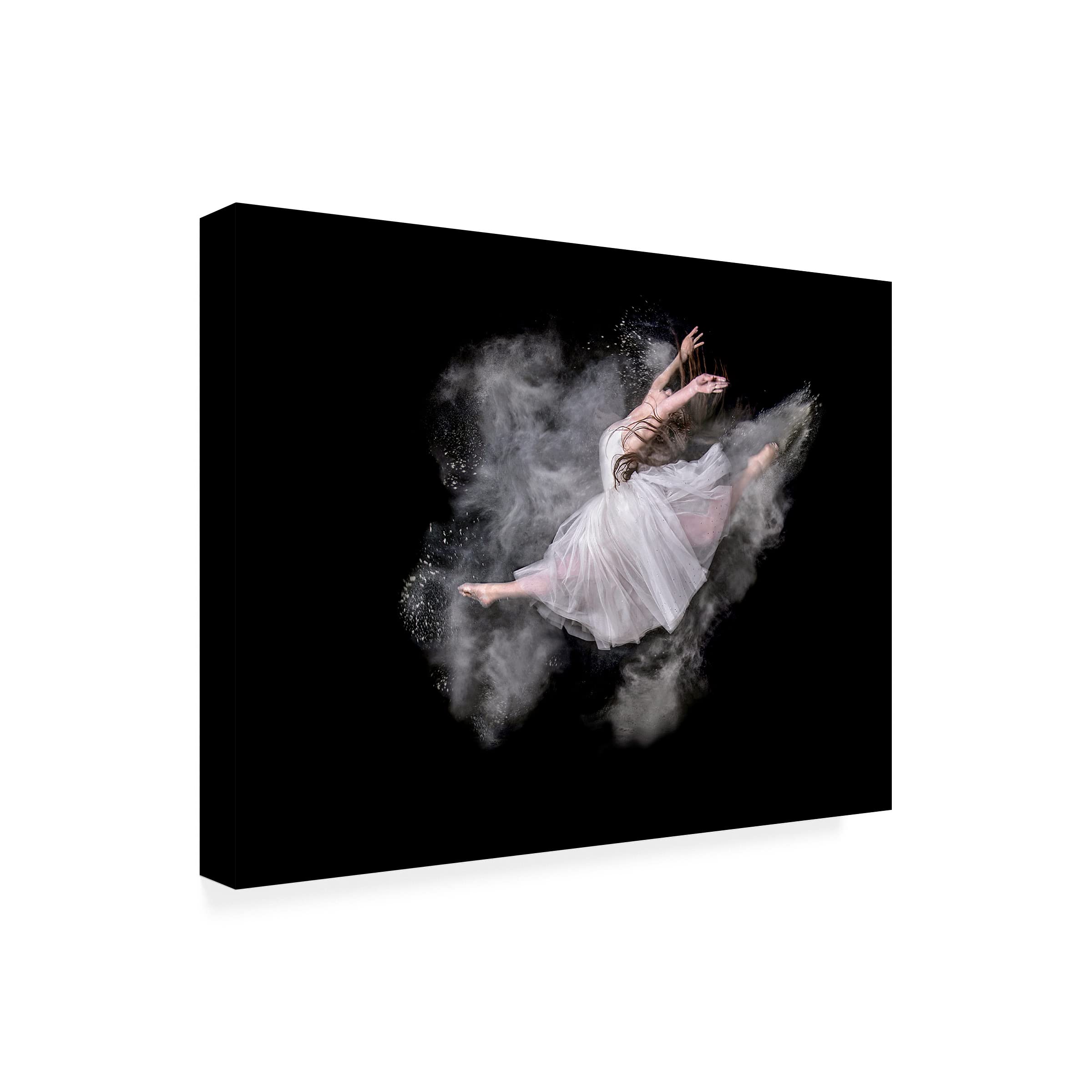 Pauline Pentony 'Dust Dancer' Canvas Wall Art Print - Modern Abstract Painting for Living Room, Bedroom & Office Decor