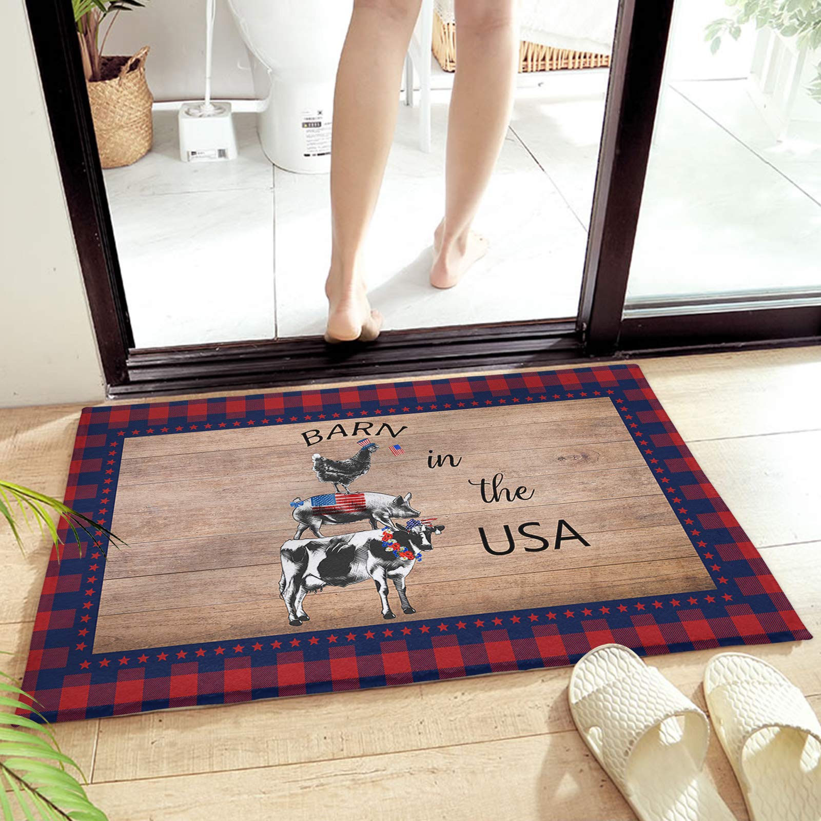 DecorLovee 4th of July Patriotic Furry Door Mat - 20