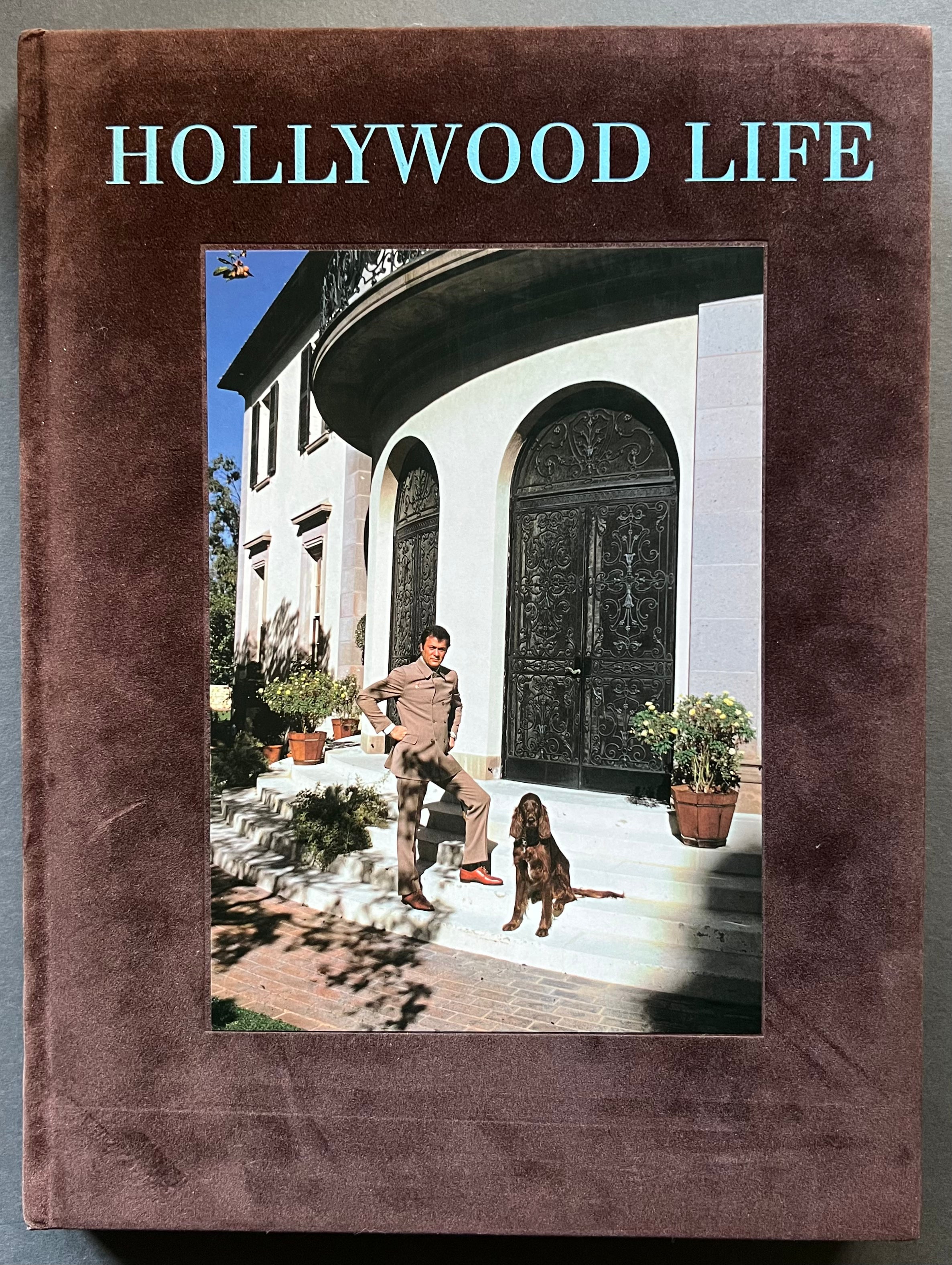 Hollywood Life - Latest Celebrity News, Entertainment Updates & Pop Culture Trends | Stay Updated on Hollywood Gossip & Lifestyle