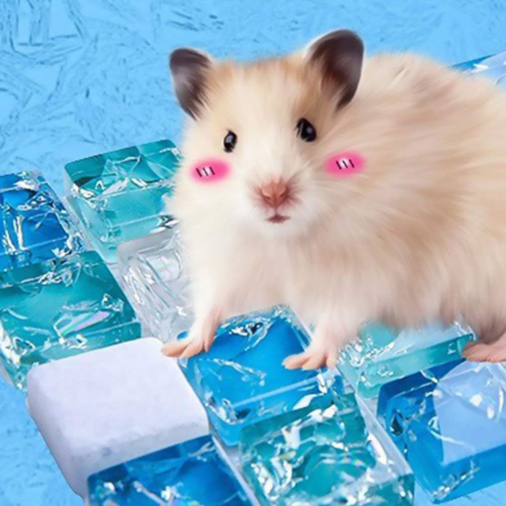 2Pcs Small Animal Cooling Mat - Hamster, Chinchilla & Guinea Pig Summer Ice Bed for Pets | Portable Cooling Plate for Cages, Travel & Hot Weather Relief