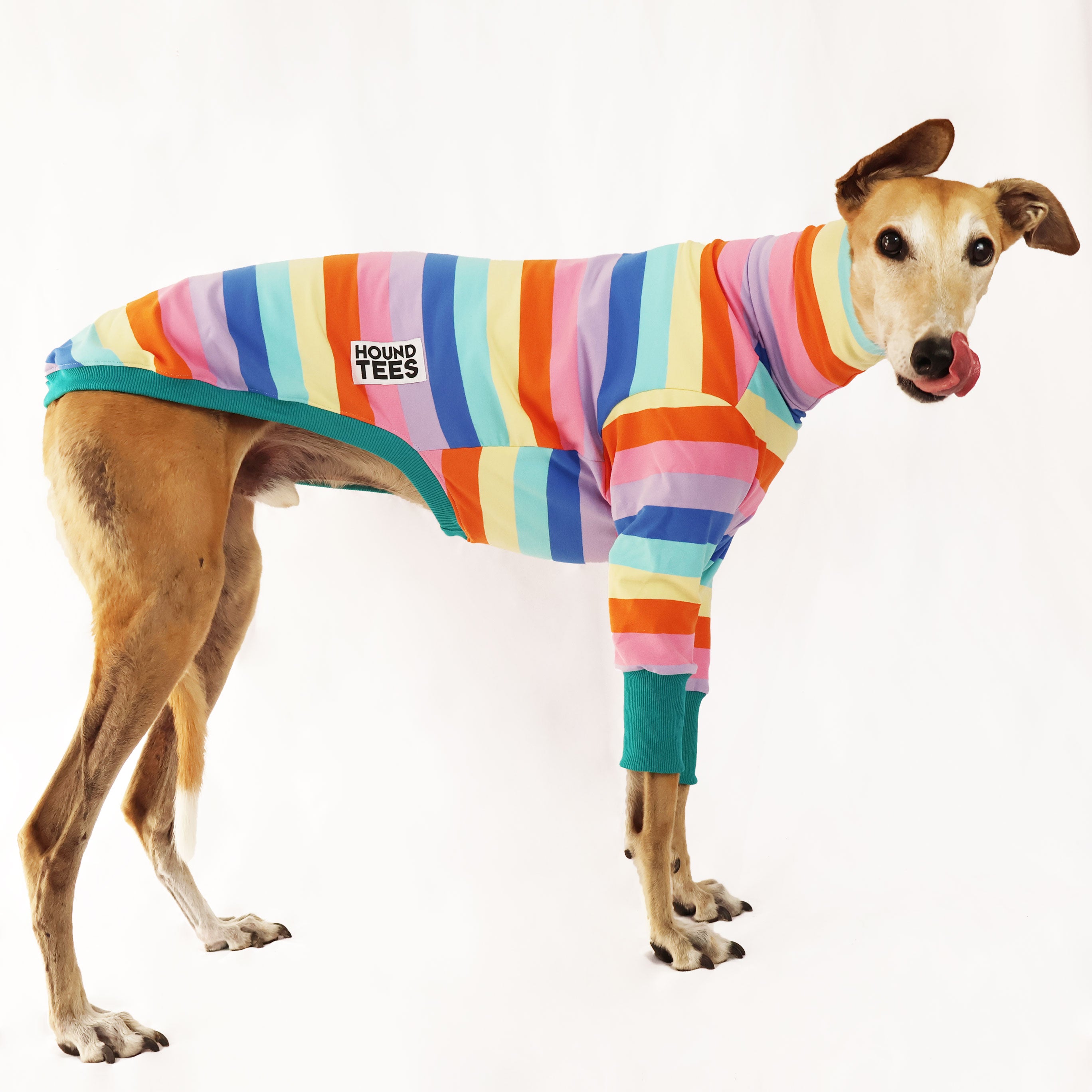 Stylish Greyhound Bubblegum Pink Long Sleeve Sweater for Women - Cozy Winter Pullover for Dog Lovers, Perfect for Casual Outings & Pet-Friendly Events