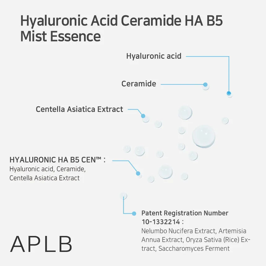 APLB Hyaluronic Acid Ceramide HA B5 Mist Essence 105ml - Hydrating Facial Spray for Dry Skin, Anti-Aging & Moisture Lock - Perfect for Travel, Gym & Daily Skincare Routine