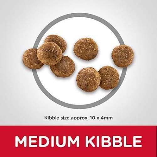 Hill's Science Diet Puppy Dry Dog Food - Chicken Meal & Barley Recipe for Small & Large Breeds (5lb & 15lb Bags) | High Protein Puppy Food for Growth & Development | Perfect for New Puppy Owners & Training