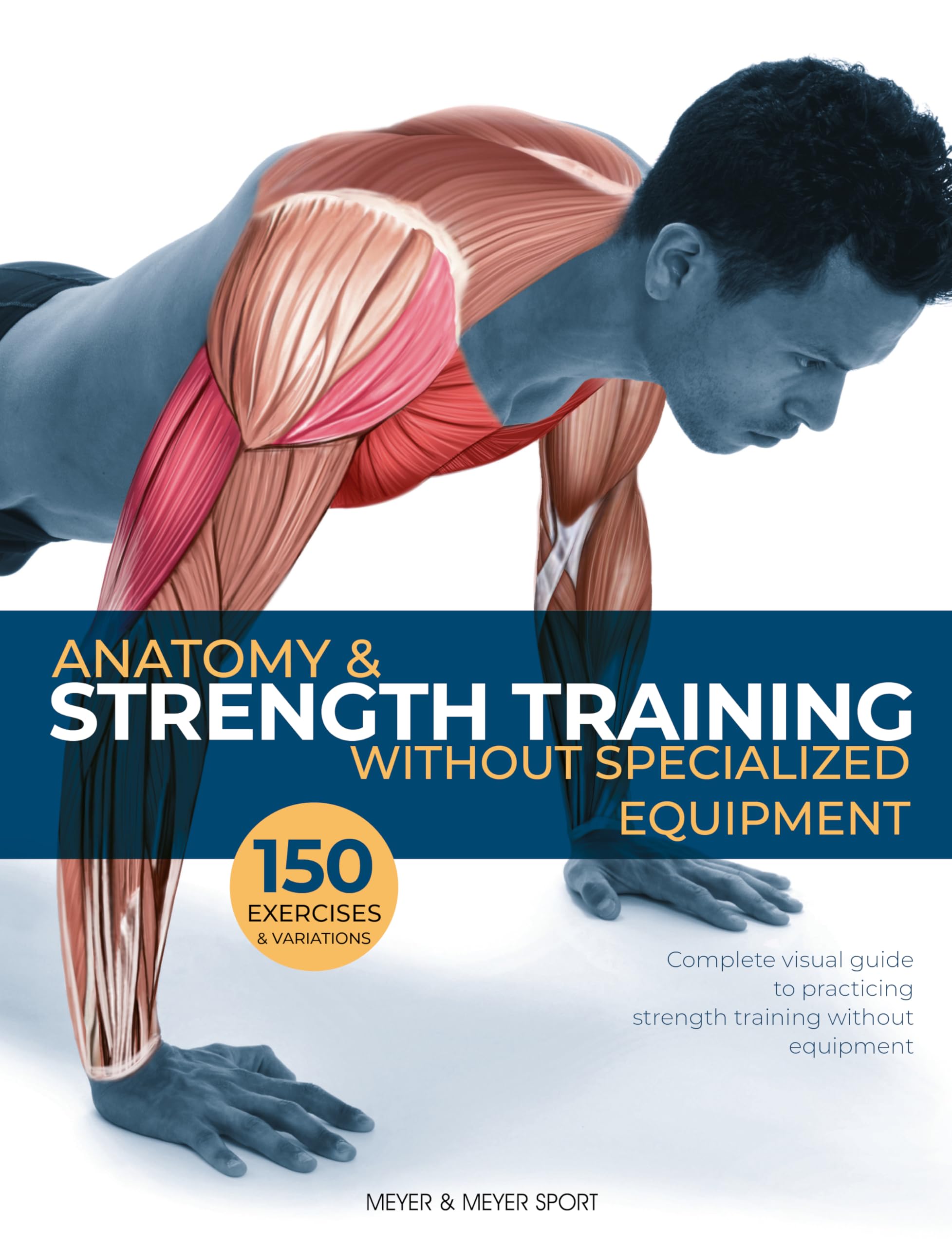 Anatomy & Strength Training Guide - No Equipment Needed for Home Workouts | Improve Fitness & Muscle Building