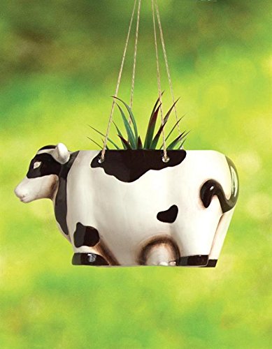 Handmade Ceramic Cow Planter with Hanging Rope - Cute Succulent Flower Pot for Home Garden Decor, Kitchen Windowsill, or Boho Farmhouse Style