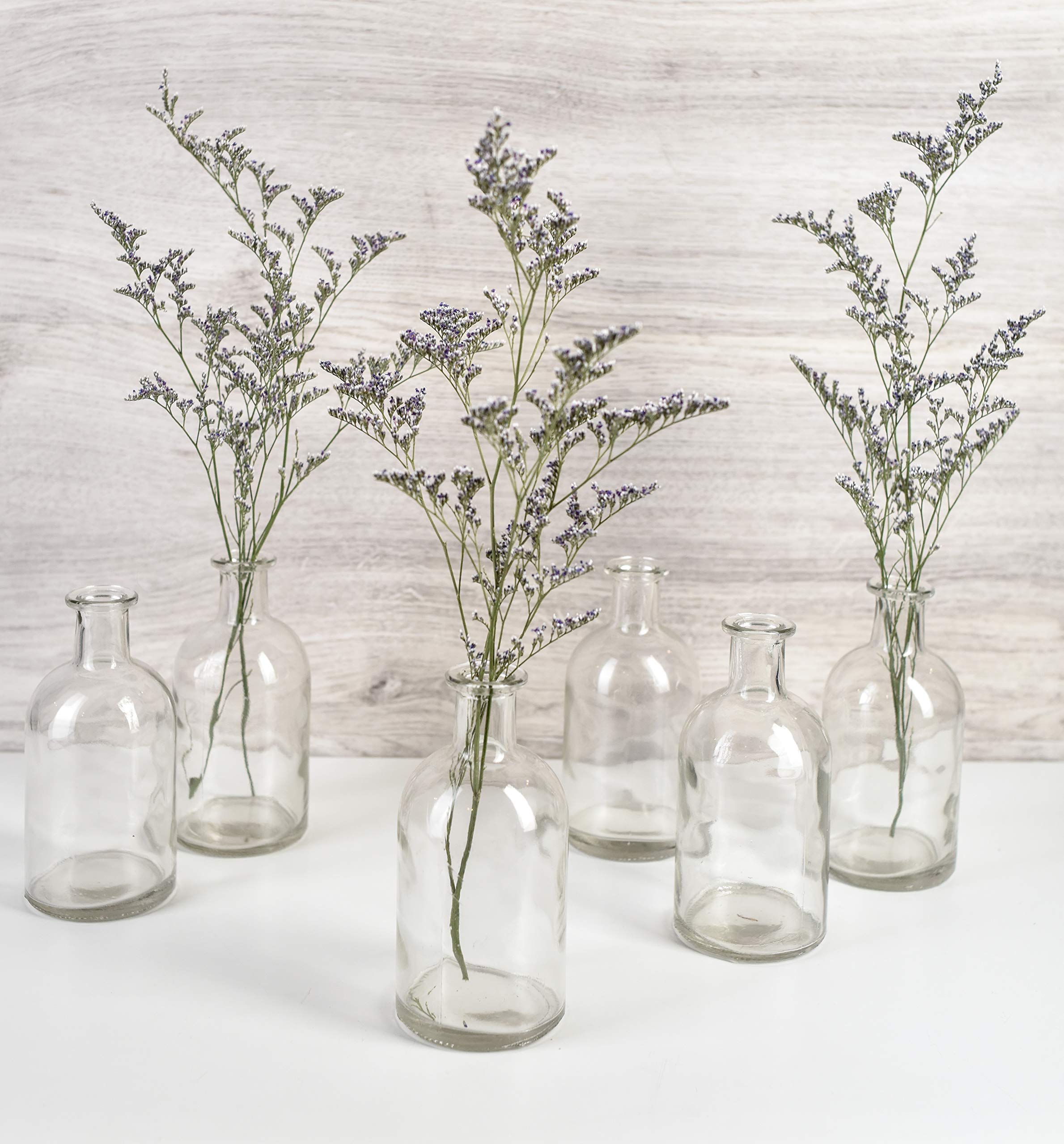 Serene Spaces Living (6 Pack) Small Glass Bud Vases - Decorative Apothecary Jars & Mini Flower Vases for Wedding Centerpieces, Home Decor, and DIY Craft Projects | Perfect for Table Settings, Bathroom Storage, and Rustic Farmhouse Decor