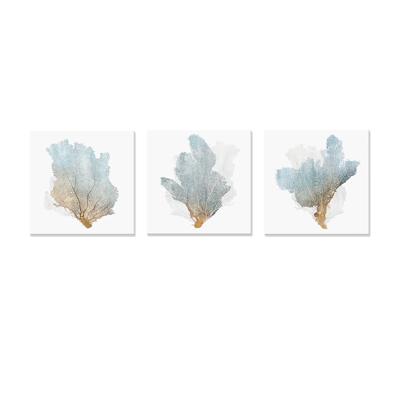 JAPO ART 3-Piece Framed Coral Wall Decor - Coastal Nautical Sea Fan Prints (16x16 Inches) for Bathroom & Bedroom - Beach House Decor, Ocean-Themed Home Accents | Perfect for Coastal Living Rooms, Spa Bathrooms & Seaside Bedroom Design