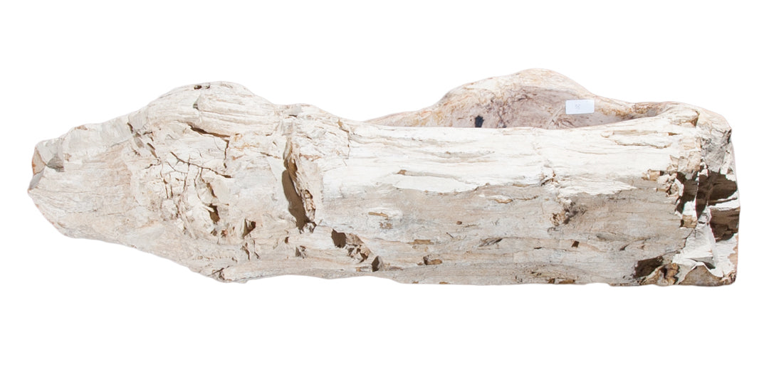 Natural Petrified Wood Bathroom Sink - 30 to 36 Inch Vanity Top with Unique Fossilized Patterns | Perfect for Rustic, Farmhouse & Luxury Bathroom Decor