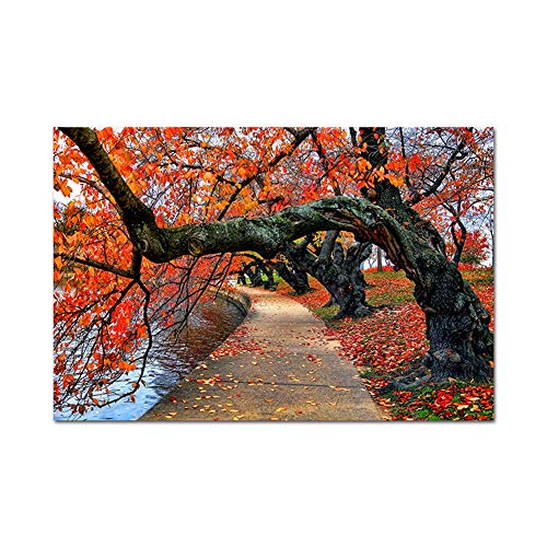 Tree of Life