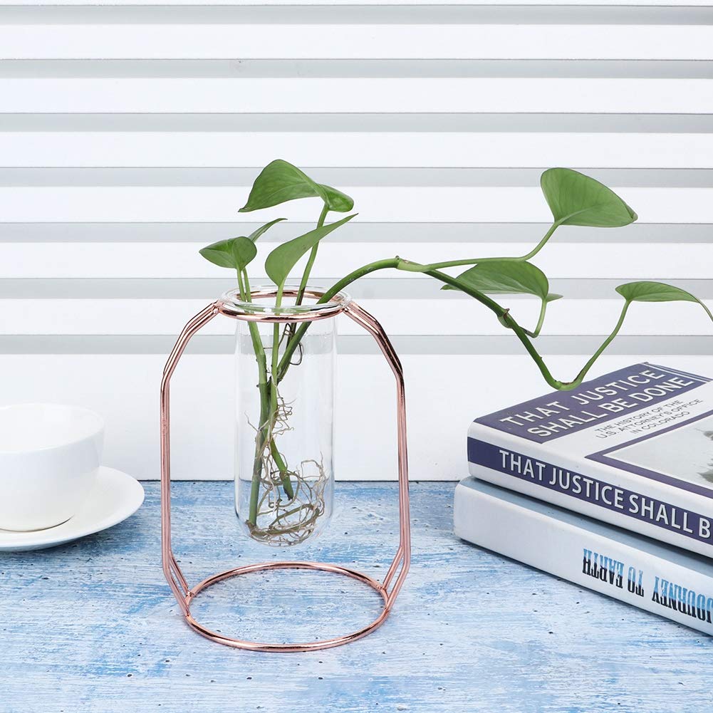 Valentine's Day Hydroponic Glass Flower Vase - Elegant Rose Gold Planter for Home, Wedding & Office Decor | Perfect for Indoor Plants, Table Centerpieces and Gift Giving