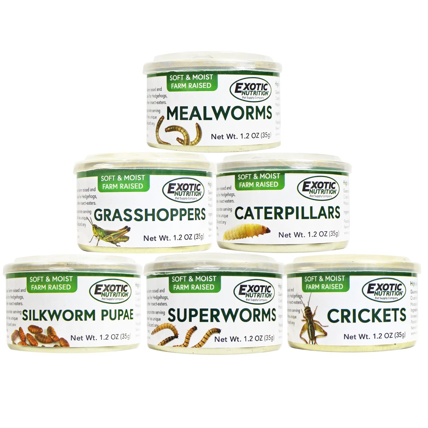 Premium Canned Insect Assortment - Dried Mealworms, Crickets & Grasshoppers for Reptile Food, Bird Treats & Fishing Bait | High-Protein Pet Snacks for Bearded Dragons, Chickens & Wild Birds