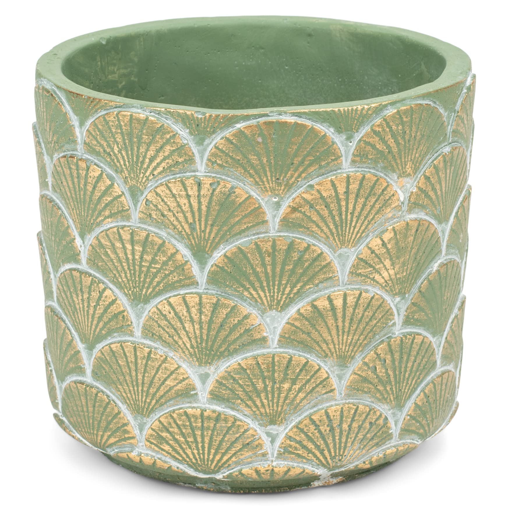 Napco Green Golden Shea Shell Small 5