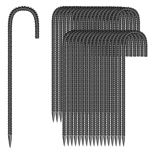 J-12'' 8mm 36pcs BK