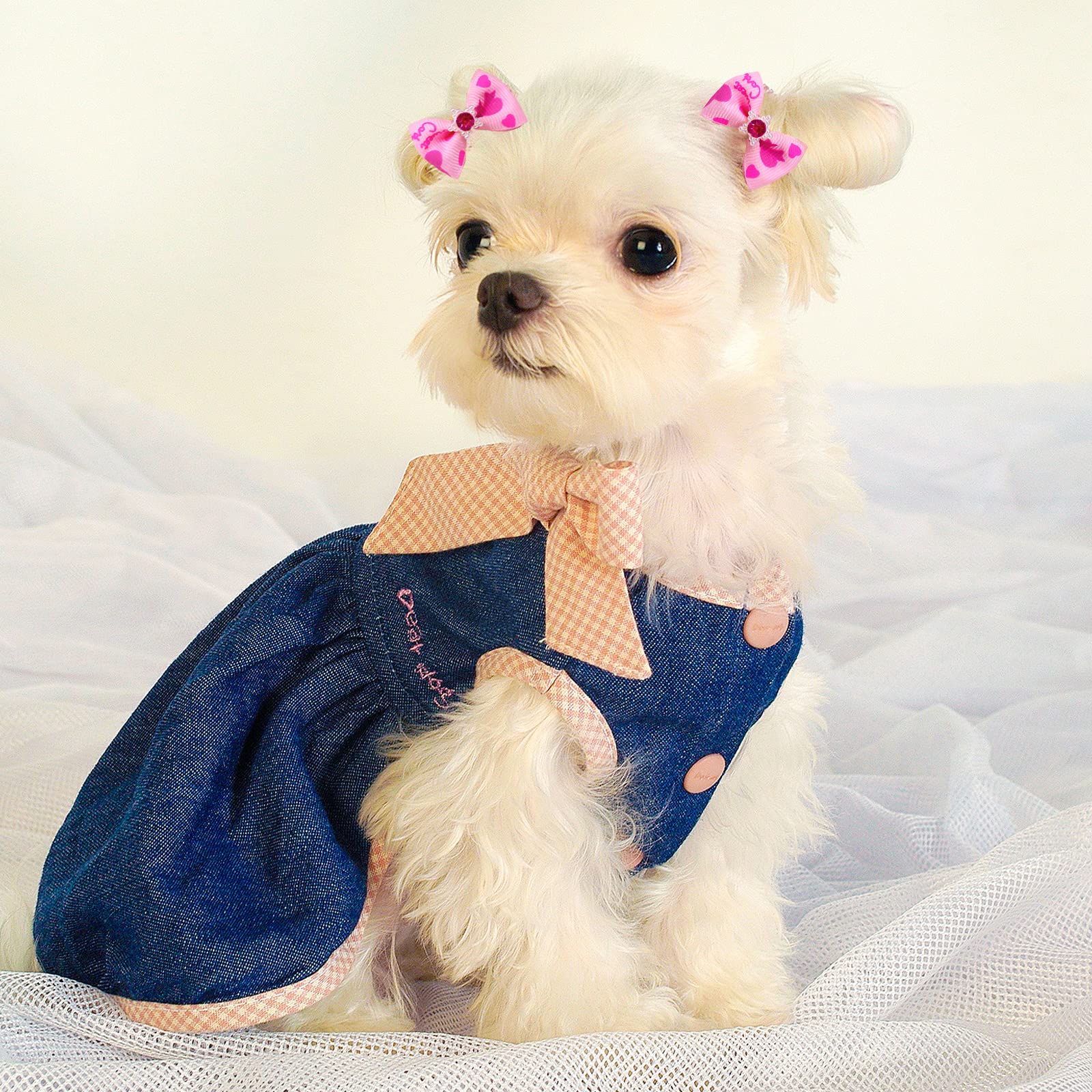 60pcs Dog Hair Bows - High Tenacity Rubber Band Puppy Grooming Accessories - 30 Beautiful Short Bows for Small Dogs - Perfect for Pet Grooming, Photo Shoots & Special Occasions
