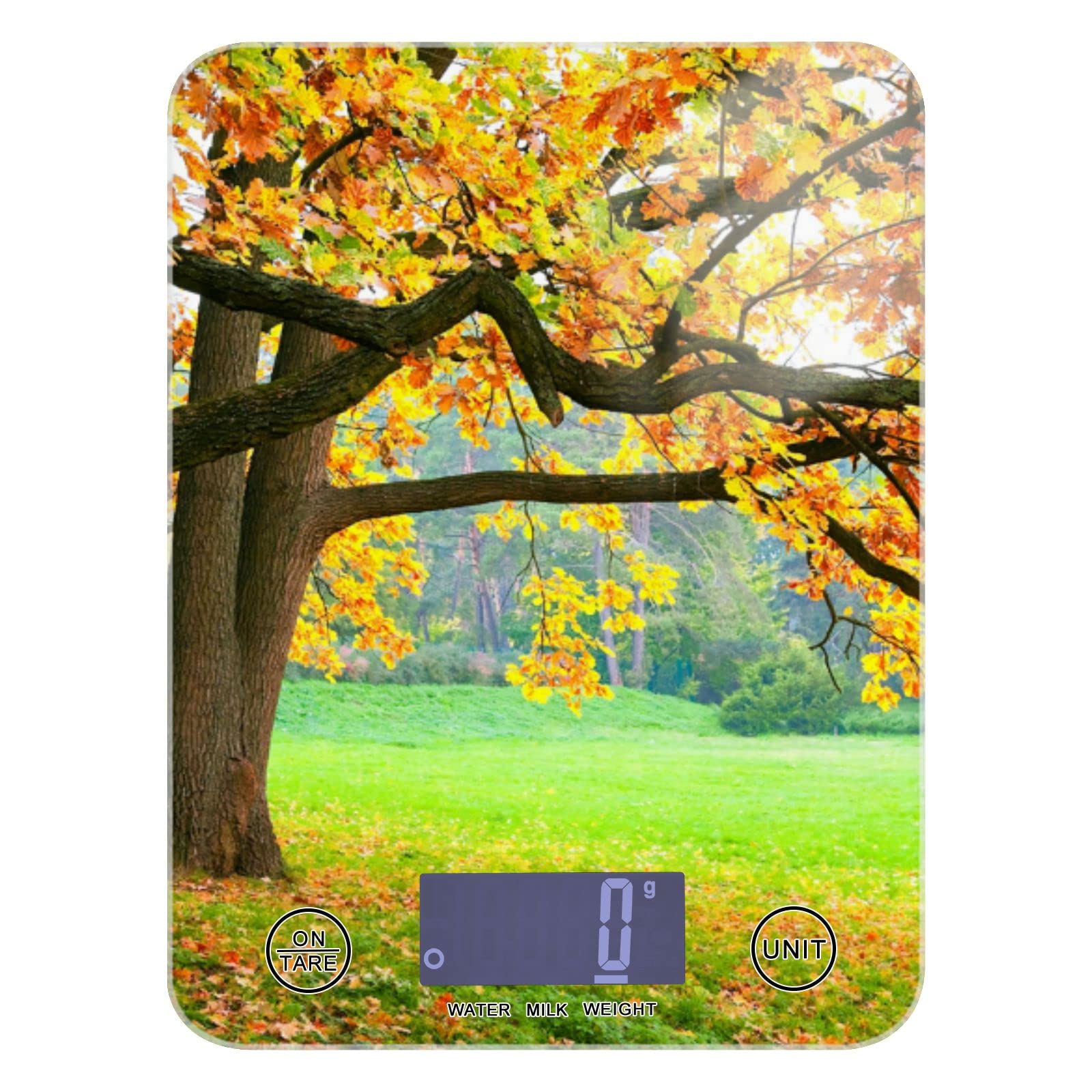**Waterproof Digital Kitchen Scale - Precise Ounces & Grams Measurement for Baking, Cooking, and Meal Prep | Autumn Forest Design**    *(Perfect for Home Chefs, Bakers, and Healthy Meal Planning!)*