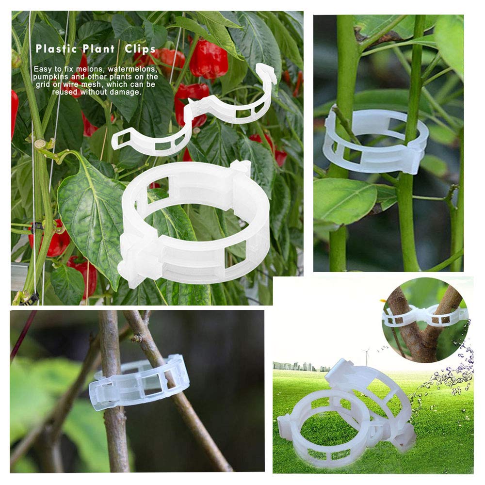 300 PCS White Plant Support Garden Clips - Durable Tomato Vine & Flower Clips for Healthy Growth | Perfect for Orchids, Tomatoes & Vine Plants | Indoor & Outdoor Gardening Essential