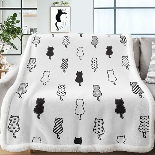 Black and White Cats