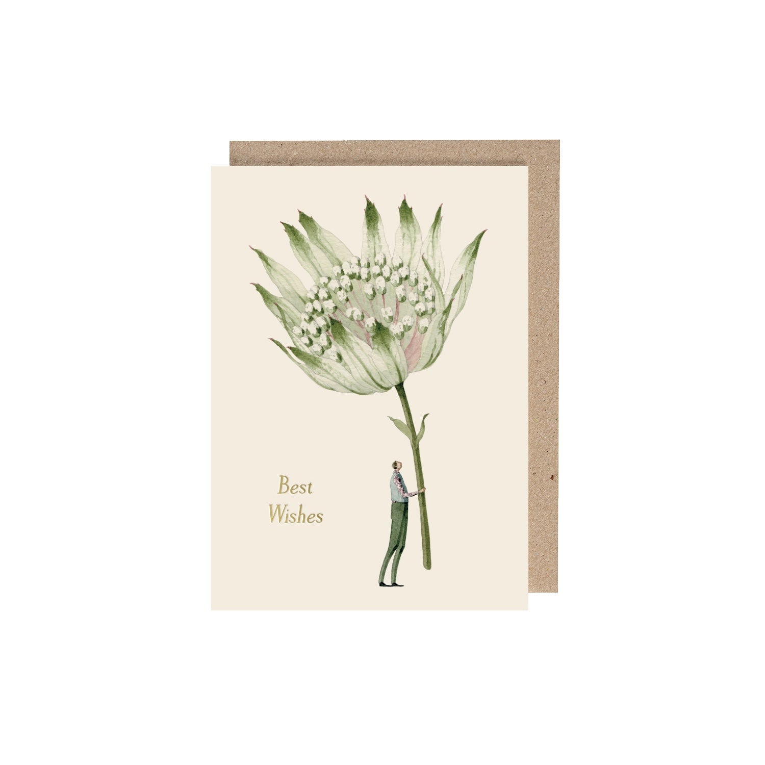 Best Wishes Astrantia Floral Greeting Card - Perfect for Birthdays, Anniversaries & Special Occasions