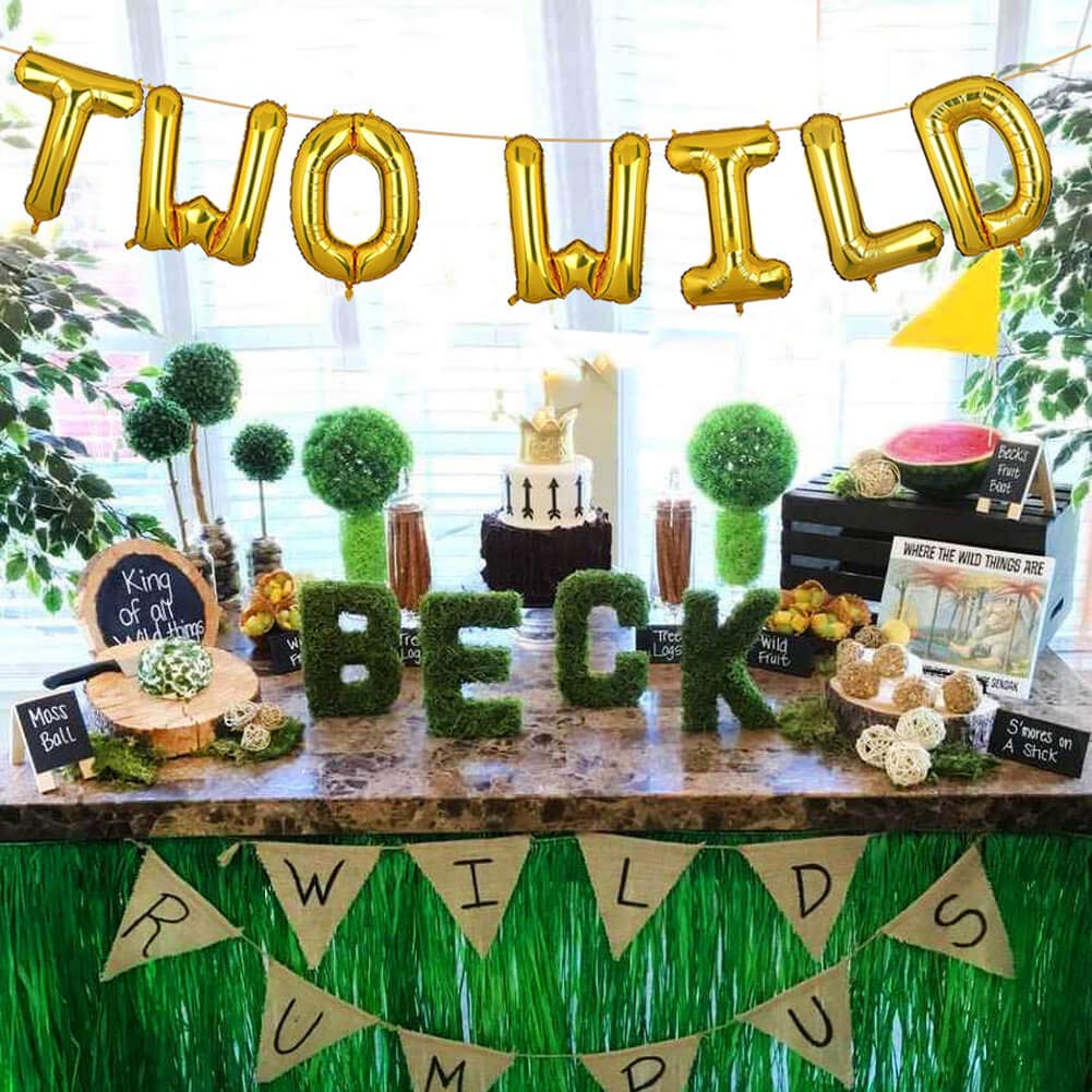 Gold Two Wild Balloons Banner - Jungle Safari 2nd Birthday Party Decorations for Boys & Girls | Jungle Theme Party Supplies for 2 Year Old Birthday Celebration | Perfect for Baby Showers, First Birthdays & Safari Themed Events