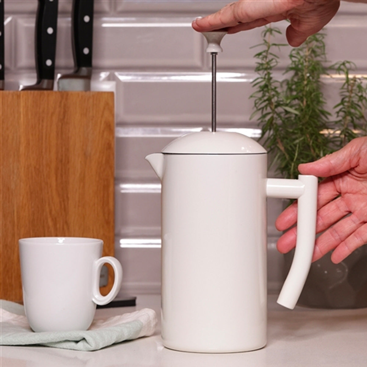 Frieling 34oz Stainless Steel Insulated French Press Coffee Maker - Snow White #7001 | Keeps Coffee Hot for Hours | Perfect for Home, Office & Camping