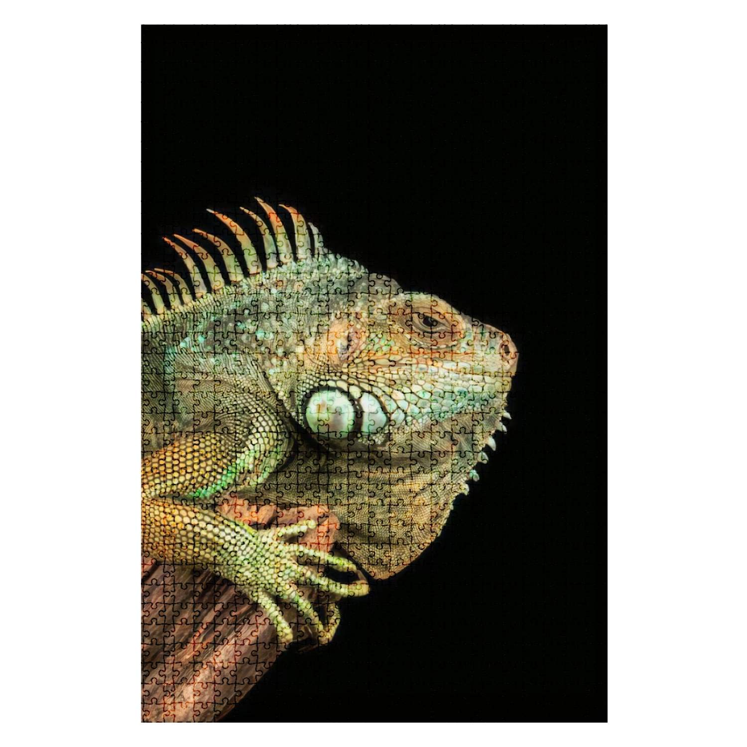 1000-Piece Wooden Jigsaw Puzzle - Iguana Portrait Animal Puzzle for Adults & Kids | Challenging DIY Educational Game Toy | Home Decor Gift | Fun Family Activity & Stress Relief