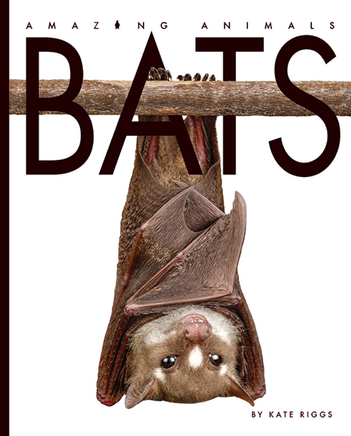 Bats 9781640262042 - Nature Books for Kids, Wildlife Education & Animal Facts - Perfect for Classroom Learning & Home Schooling