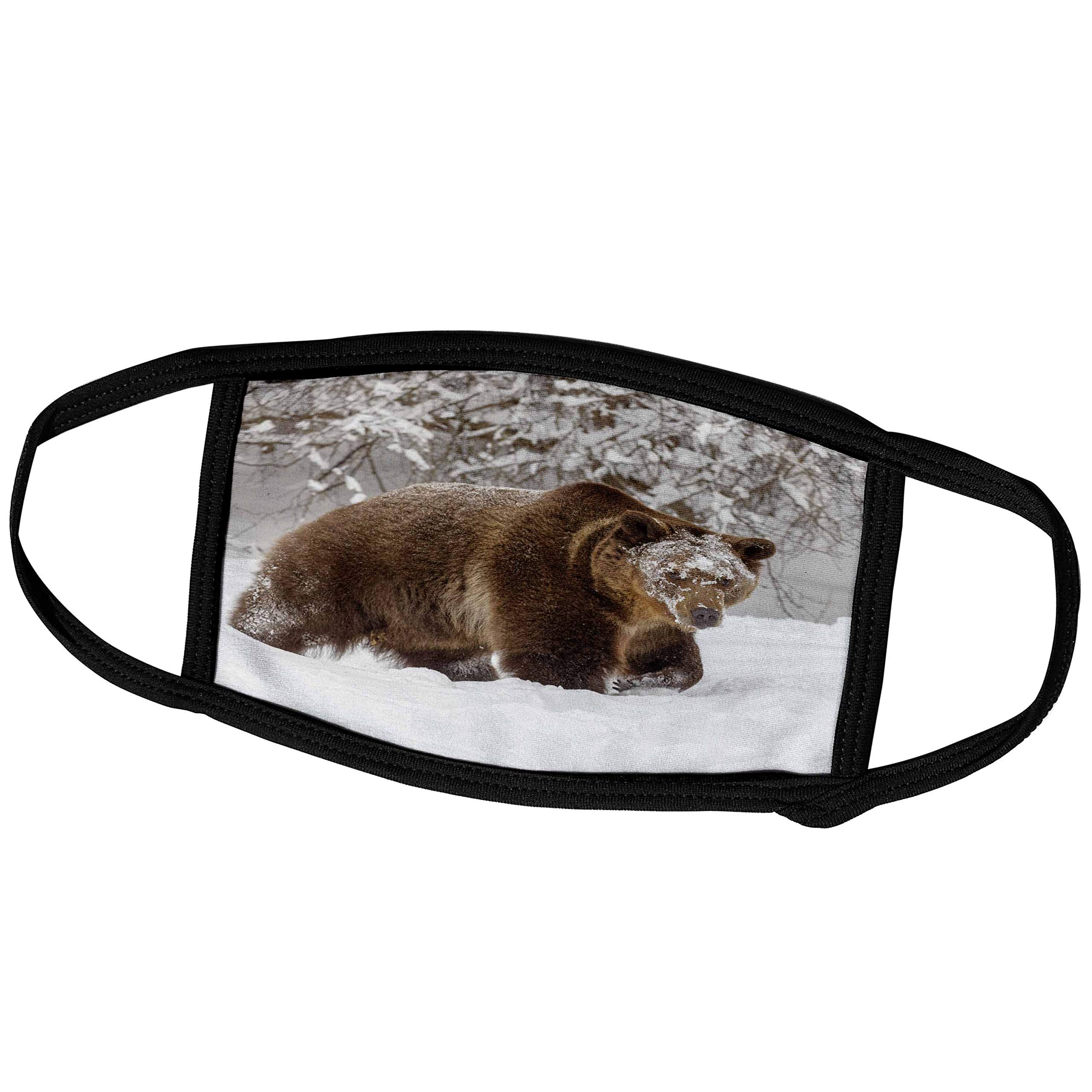 3D Rose Grizzly Bear in Winter Snow Montana Face Mask - Reusable Washable Breathable Fabric Mask for Outdoor Activities, Hiking, and Cold Weather Protection (fm_346711_2)