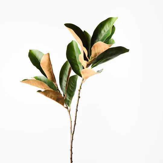 Magnolia Leaf Spray - Natural Home Decor & Aromatherapy for Relaxing Spaces, Weddings, and Spa Ambiance