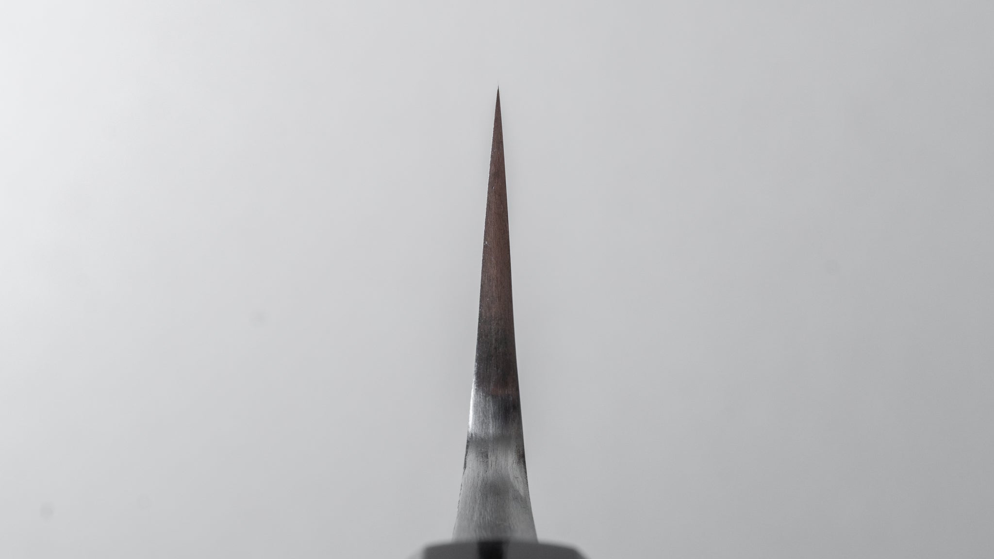 Premium Jiro Tsuchime Wa Sujihiki 210mm Japanese Slicing Knife - Taihei Tagayasan Handle (#481) - Perfect for Sushi, Sashimi & Meat Carving