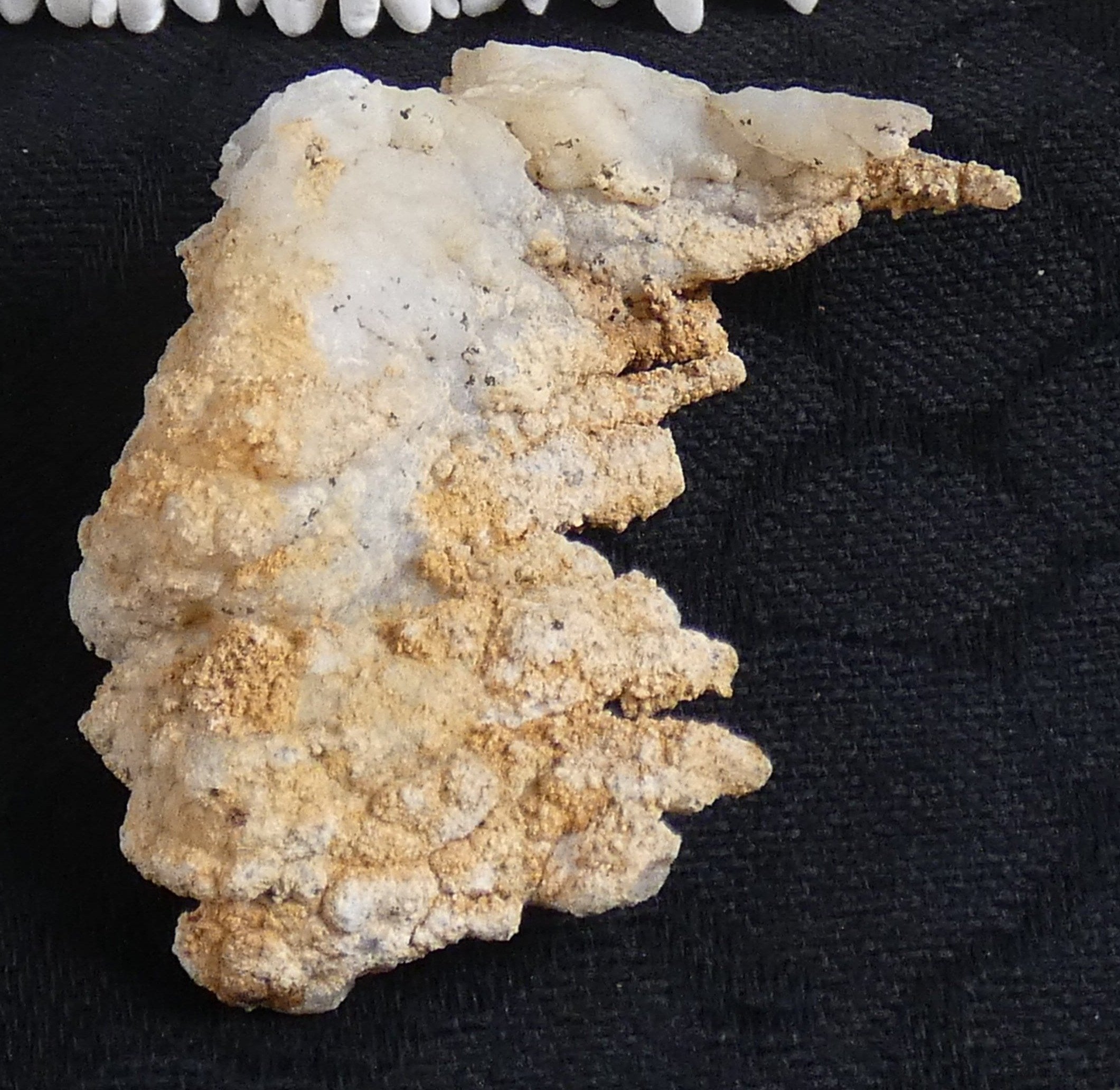 Angel Wing Agates - Natural Healing Crystals for Meditation, Home Decor & Jewelry Making | Perfect for Spiritual Gifts & Crystal Collections