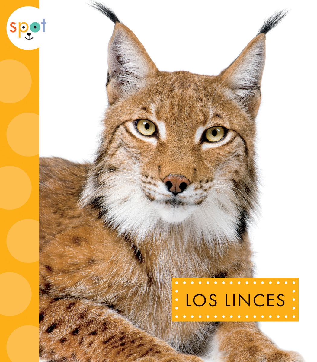 Los Linces - Premium Quality Lince Products for Home & Office | Perfect for Gifting, Decor, and Everyday Use