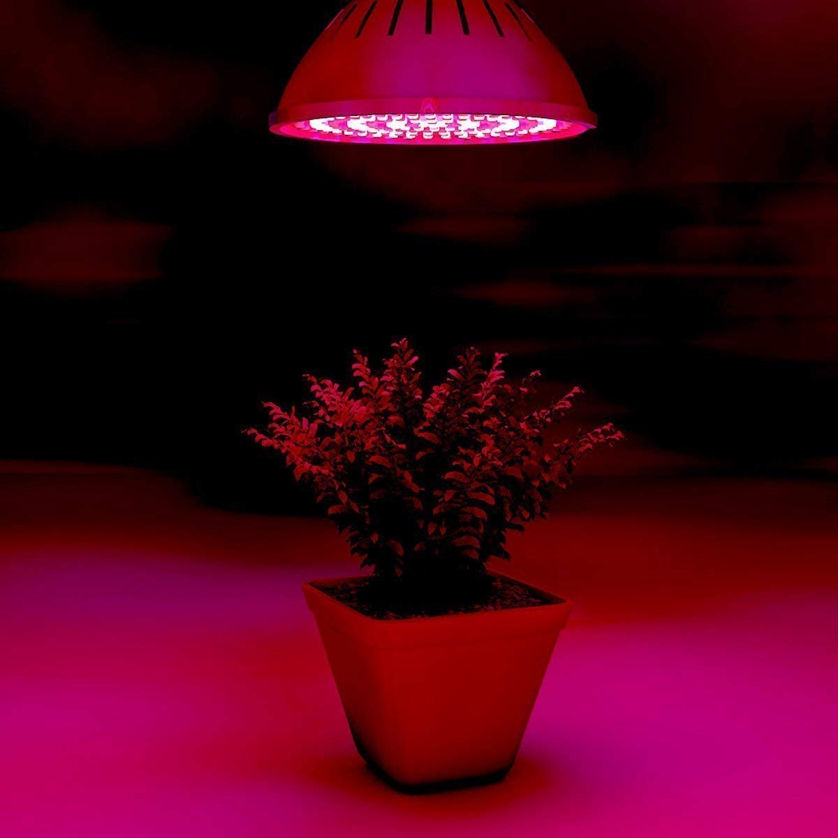 Superdream 15W Full Spectrum LED Grow Light Bulbs for Indoor Plants - Energy Efficient Plant Growing Lamp for Seedlings, Herbs, Succulents & Hydroponics - Perfect for Home Gardening, Greenhouse & Indoor Farming