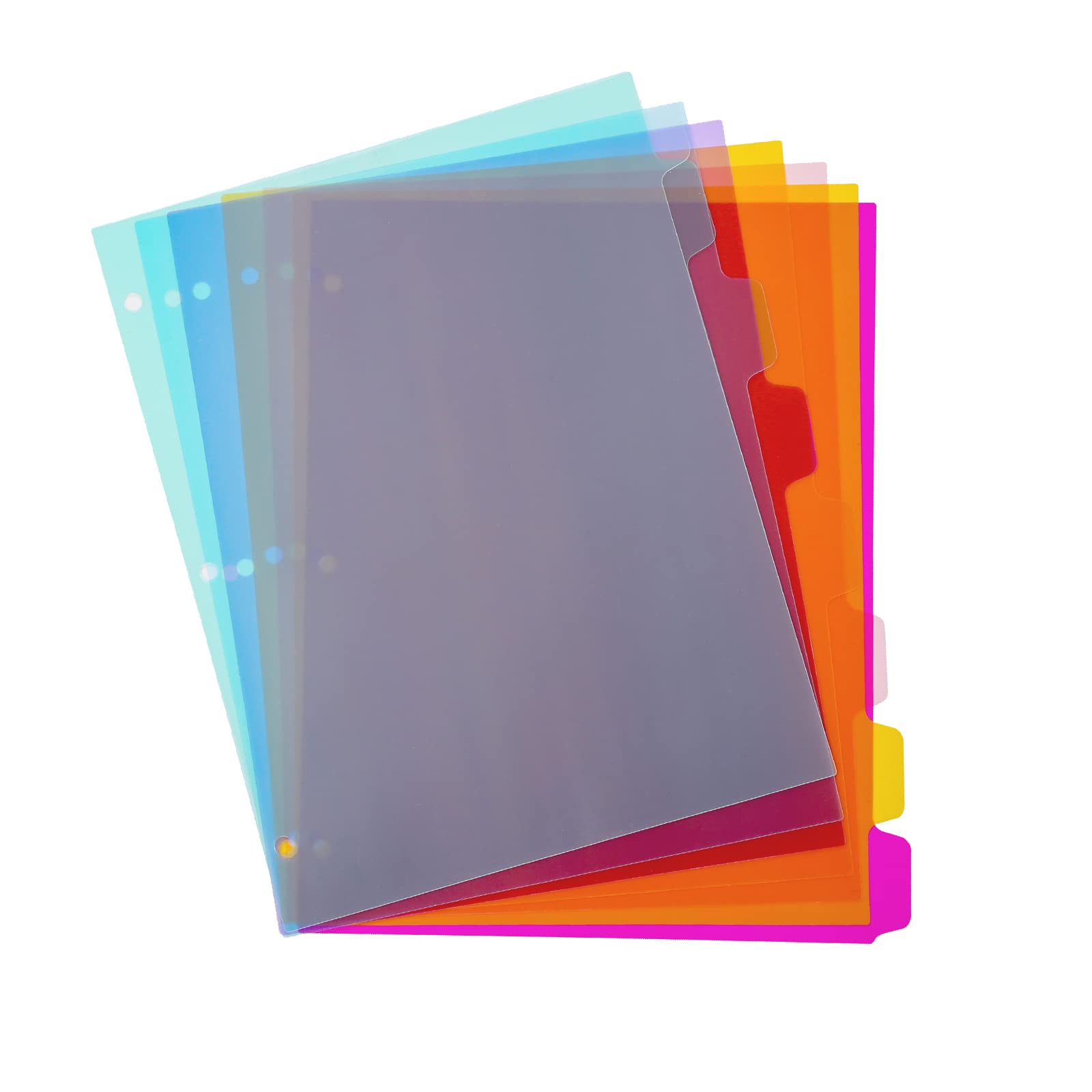 Seashell 3 Ring Binder Dividers with 8 Tabs - 3 Sets Plastic Notebook Dividers for School, Office & Organization - Letter Size, Durable, Assorted Colors - Perfect for Classroom, Work & Home Use