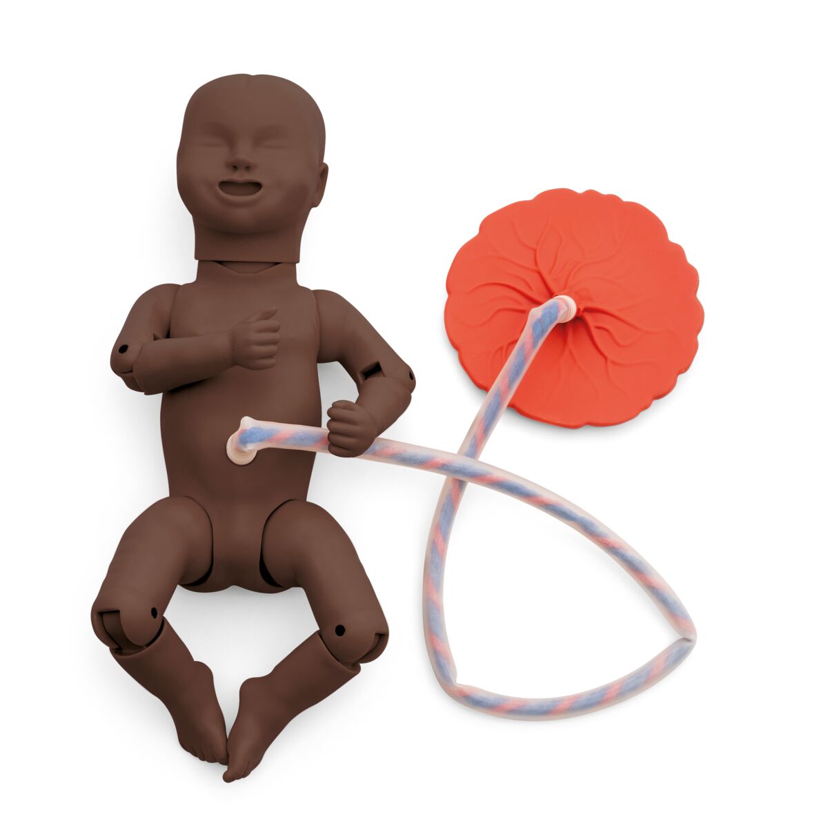 3B Scientific Basic Birthing Simulator - Life-Size Birth Model for Medical Training, Nursing Education & Midwifery Practice | Perfect for Classroom Demonstrations & Clinical Skills Development