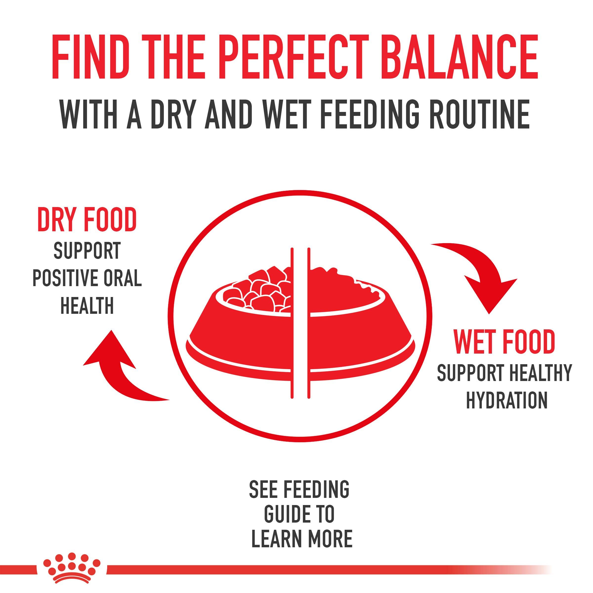 Royal Canin Small Breed Dental Care Dry Dog Food for Teeth & Gum Health - 17 lb Bag - Ideal for Small Dogs' Oral Hygiene & Daily Nutrition