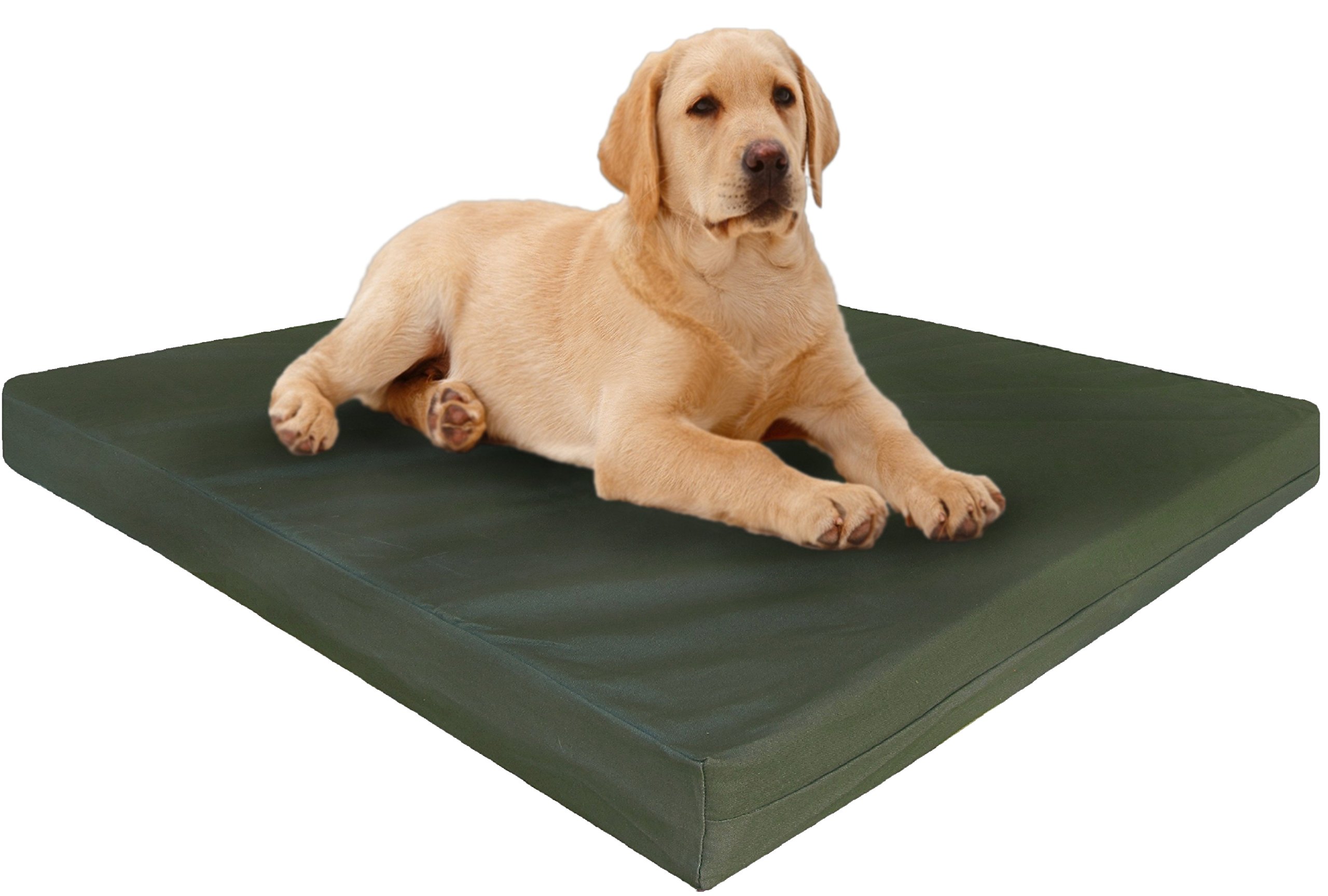 Premium Orthopedic Gel Memory Foam Dog Bed - Heavy Duty Waterproof Inner Liner + 2 Washable Canvas Covers for Large Breeds - Ideal for Elderly Dogs & Pets with Joint Pain - Perfect for Living Room, Bedroom or Kennel Use