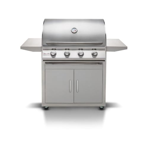Propane Gas/Stainless Steel