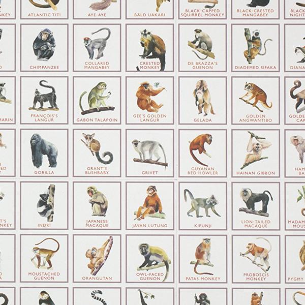 Monkey Bingo & Other Primates Board Game - Fun Family Party Game for Kids & Adults - Perfect for Birthday Parties, Game Nights & Classroom Activities