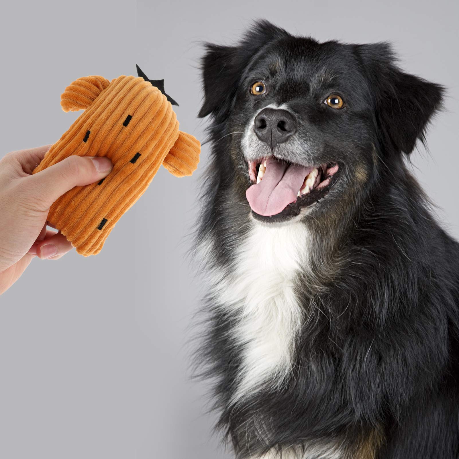 Balacoo 2-Pack Durable Dog Chew Toys for Teething Puppies - Squeaky Plush Fetch & Chase Toys for Small to Large Dogs - Interactive Pet Toys for Indoor & Outdoor Playtime