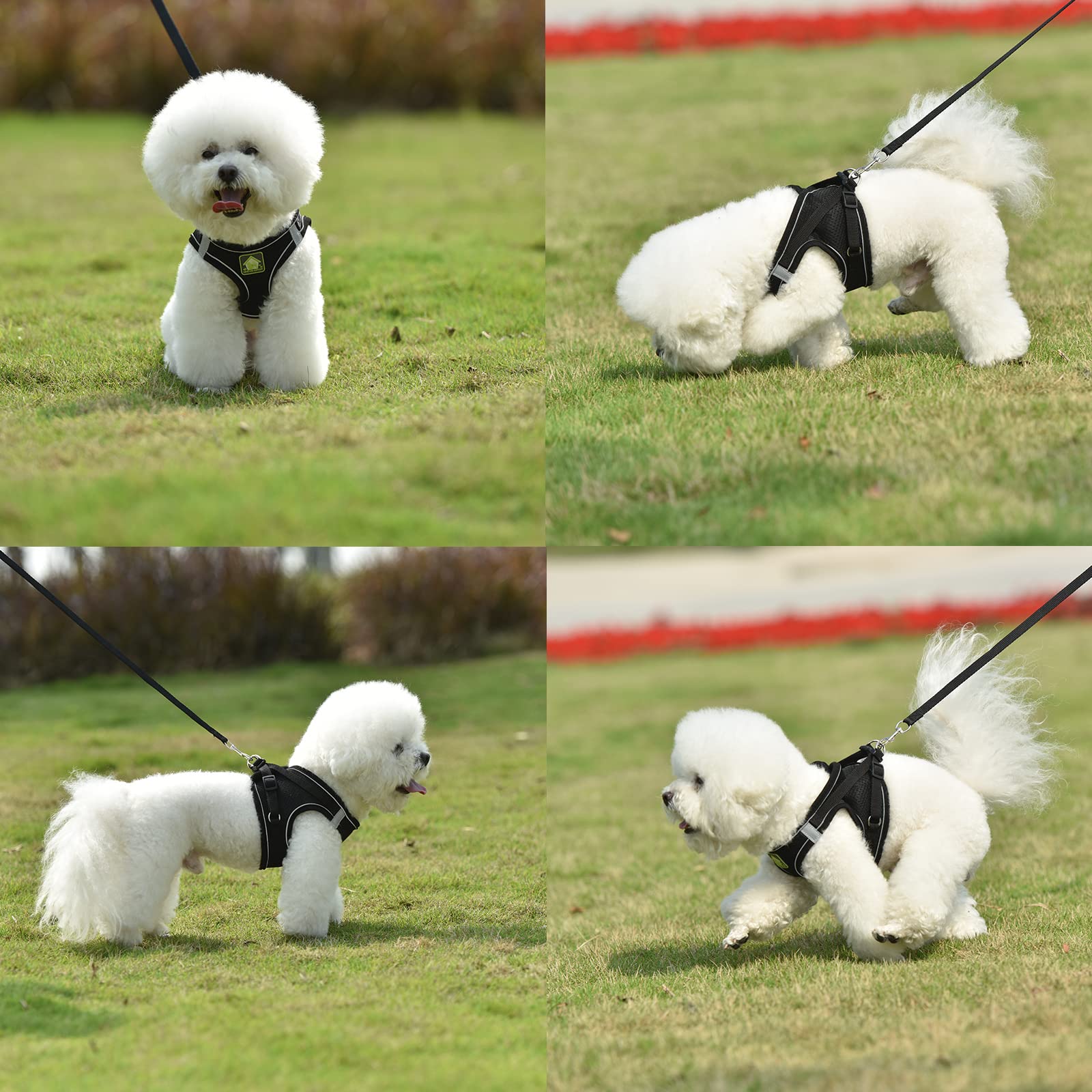 No-Pull Adjustable Reflective Dog Harness & Leash Set for Small & Medium Dogs - Breathable Soft Step-in Vest Harness for Puppies - Perfect for Outdoor Walking, Jogging & Night Safety (Black, Size S)