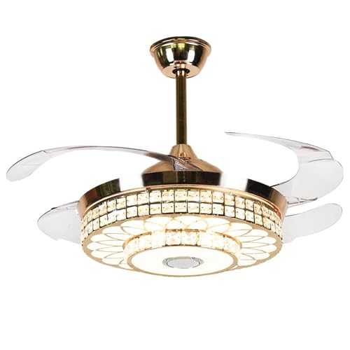 3 Color Daily Lighting/Bluetooth