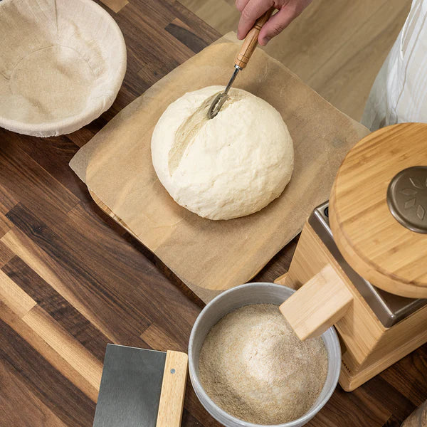 Bosch Universal Plus Stand Mixer with Sourdough Starter Kit - Professional Baking Mixer for Bread, Pizza Dough & Pastries - Perfect for Home Bakers & Commercial Kitchens