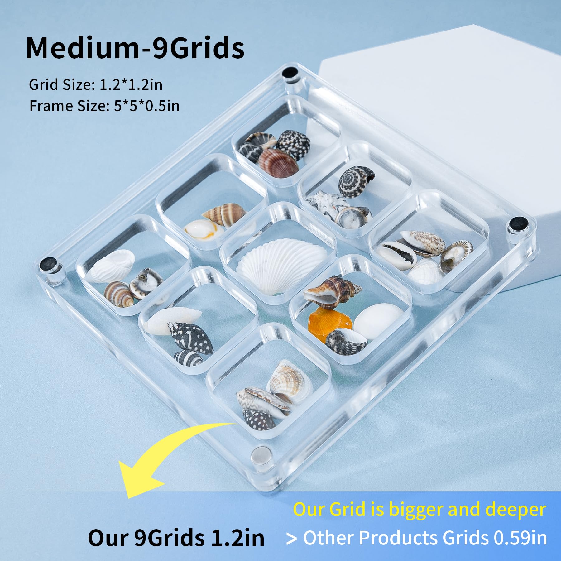 Clear Acrylic Magnetic Seashell Display Case - Multi-Style Shadow Box for Tiny Treasures, Shell Collection & Jewelry Storage - Perfect for Beachcombing Finds, Vacation Souvenirs & Home Decor Display