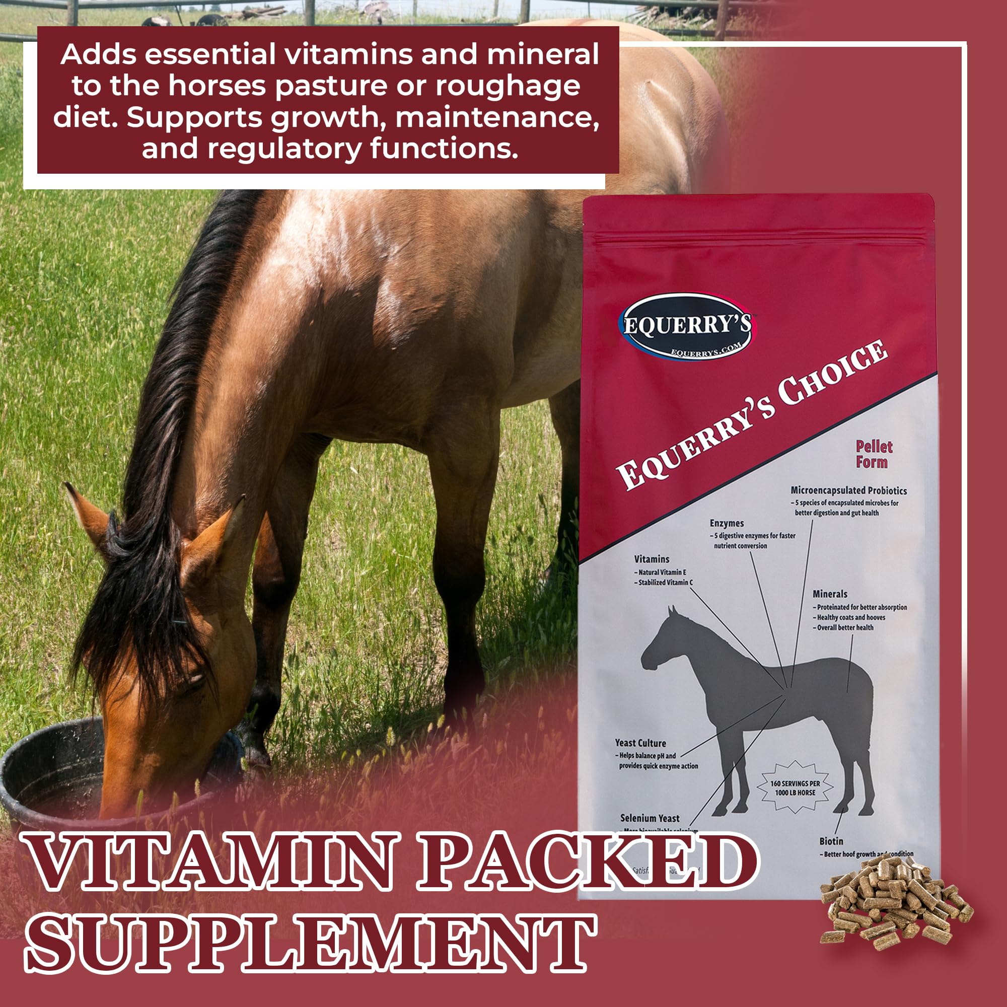 Equerry's Choice Premium Horse Pellets - Complete Nutritional Supplement with Digestive Enzymes & Chelated Vitamins for Optimal Equine Health | 20 lb Bag | Ideal for Performance Horses, Senior Horses & Digestive Support