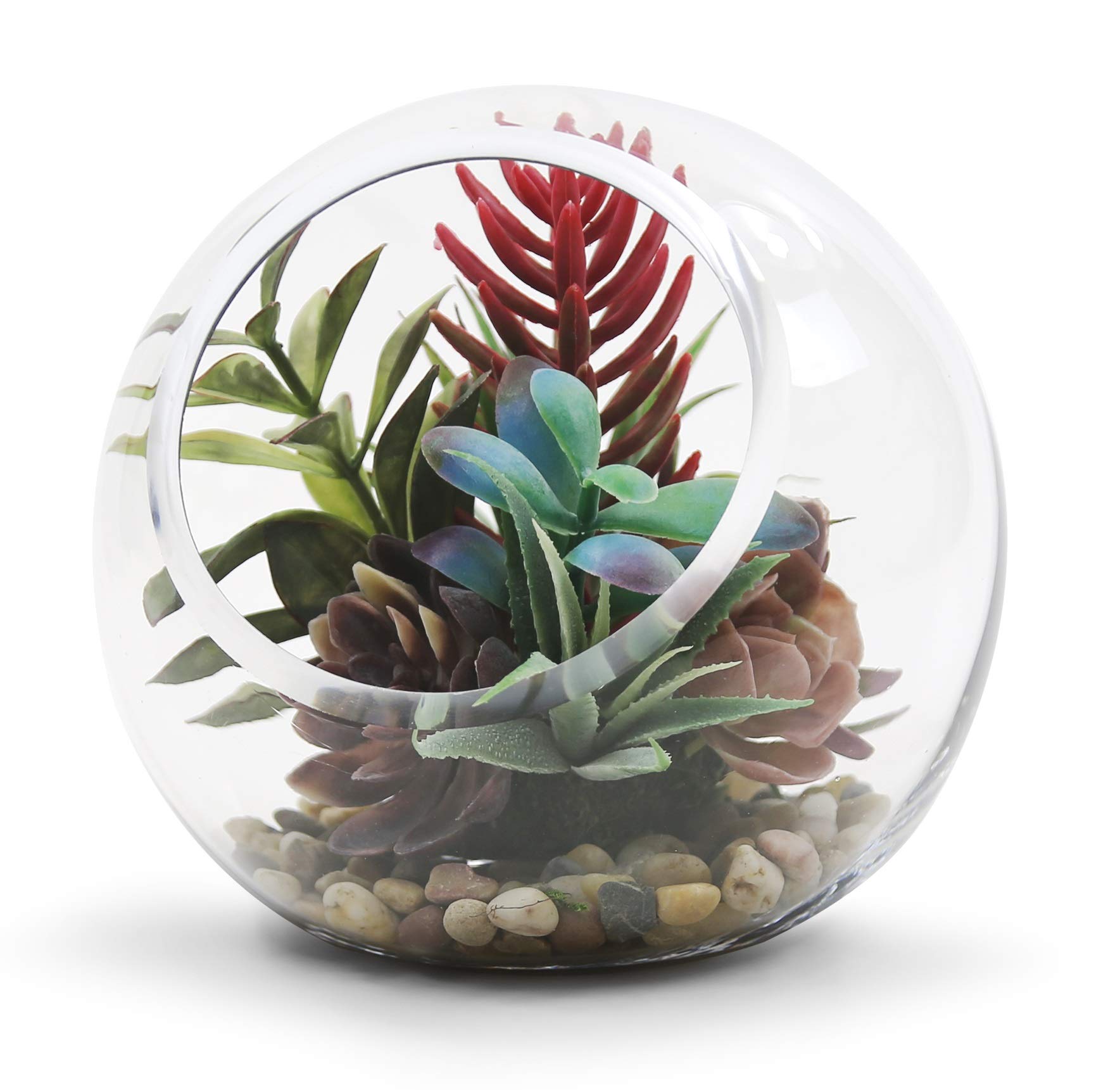 WGV 6-Piece Slant Cut Bowl Glass Vase Set - 7.5