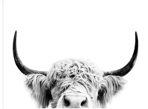 Peeking Cow BW