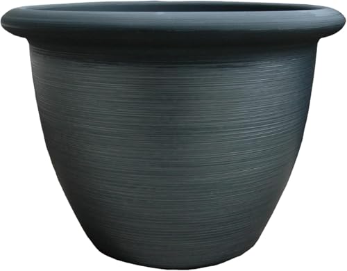 Painted Black